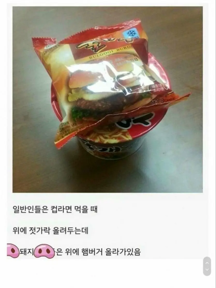 돼지들 컵라면 먹을때 특징.jpg | mbong.kr 엠봉