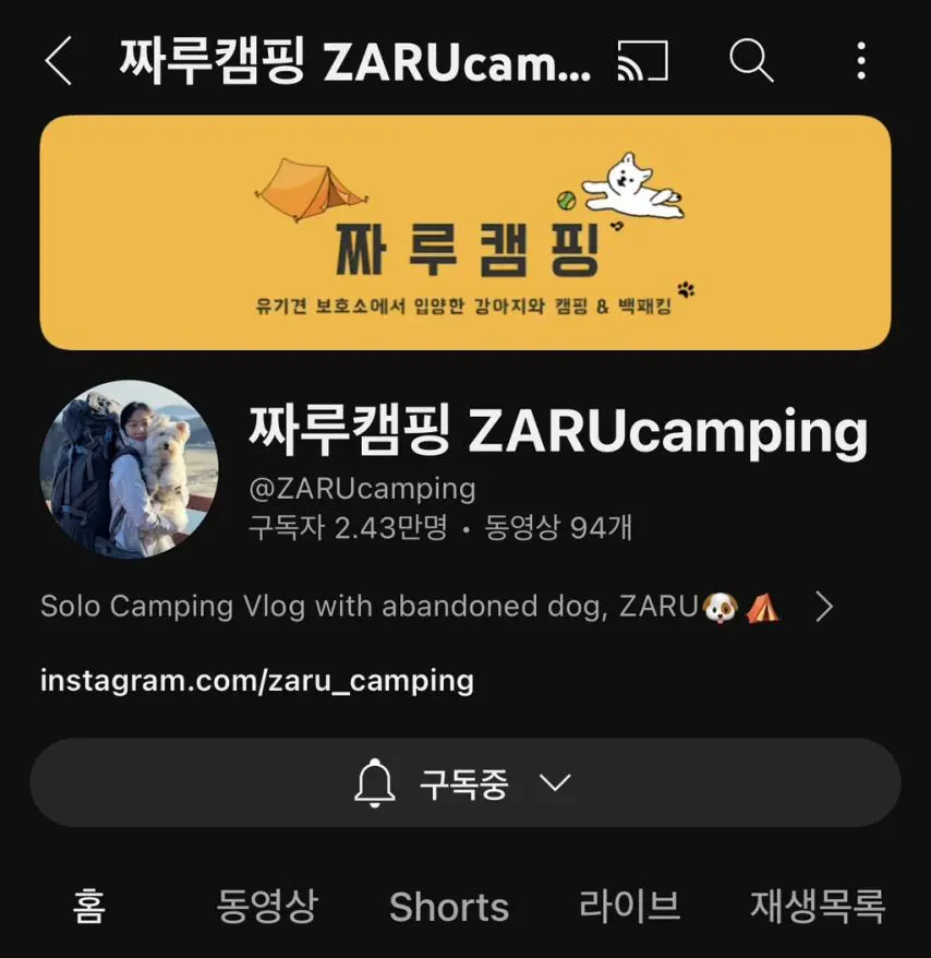 유튜브 짜루캠핑의 강아지 ‘짜루’ 실종 | mbong.kr 엠봉