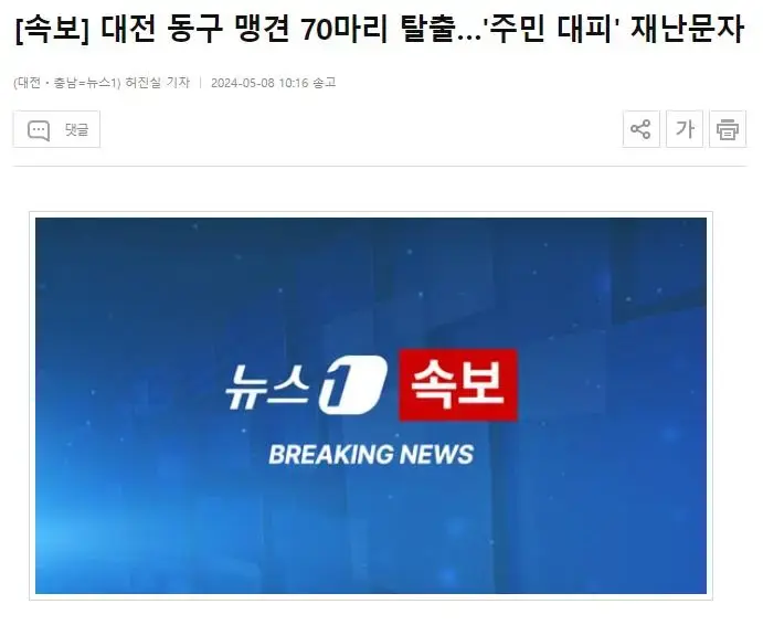 [속보] 대전 동구 맹견 70마리 탈출…'주민 대피' 재난문자 | mbong.kr 엠봉