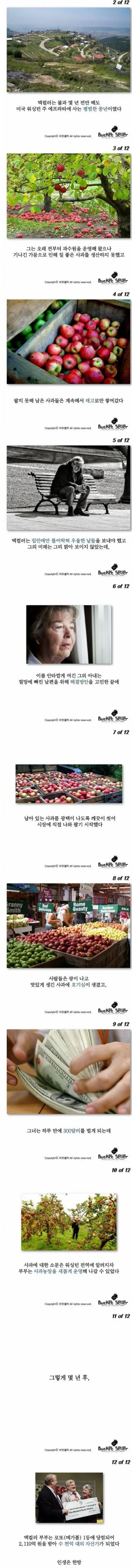 사과 과수원을 하다가 수 천억대의 자산가가 된 사연 | mbong.kr 엠봉