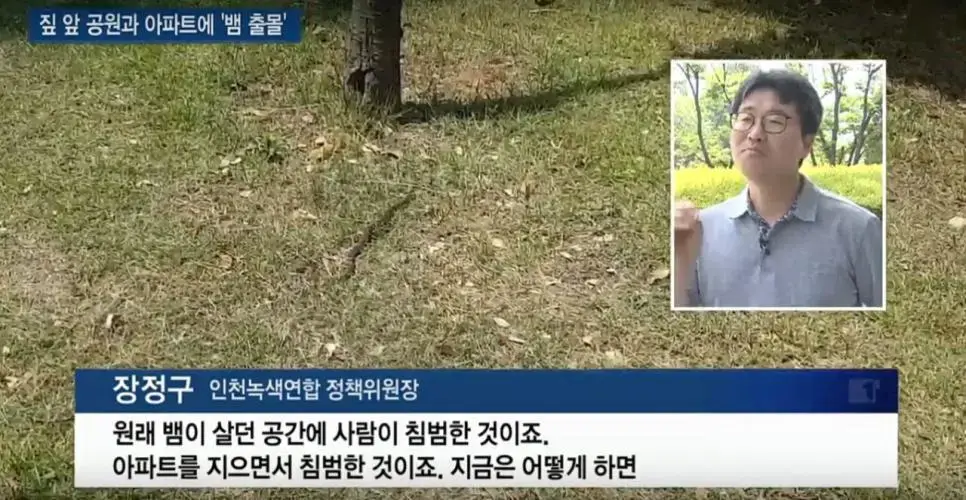 집앞 공원에 뱀 출몰하는데 환경단체가 제시한 해법 | mbong.kr 엠봉
