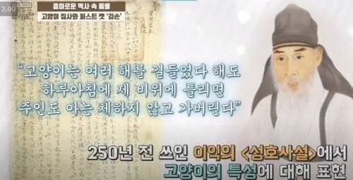 조선시대의 고양이 분석 | mbong.kr 엠봉