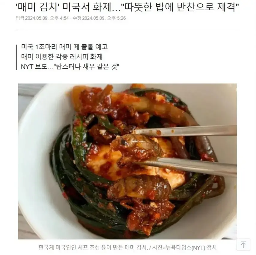 미국 김치 근황 - 따순밥과 함께드세요. | mbong.kr 엠봉