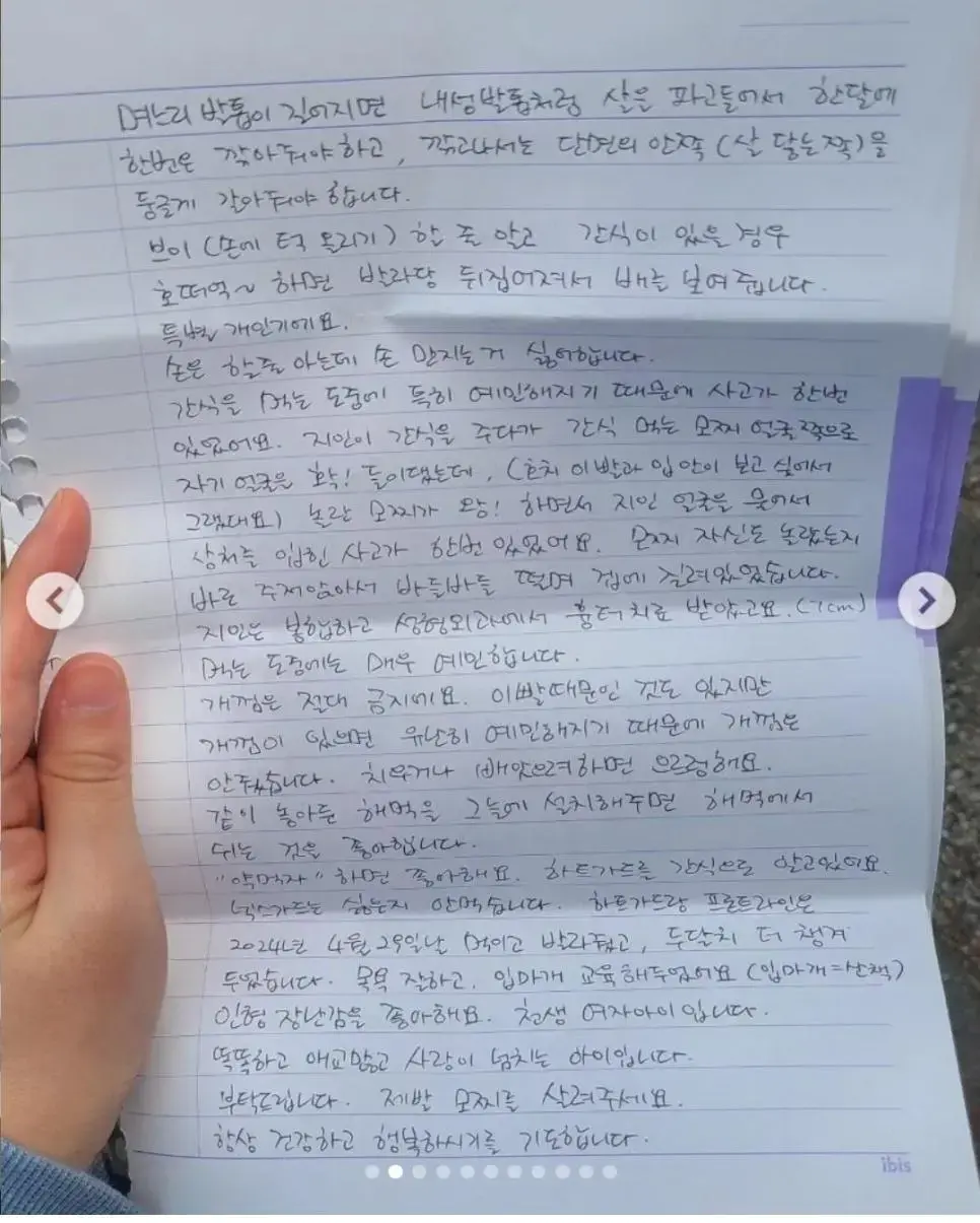 탄천 공영 주차장에 버려진 강아지 | mbong.kr 엠봉