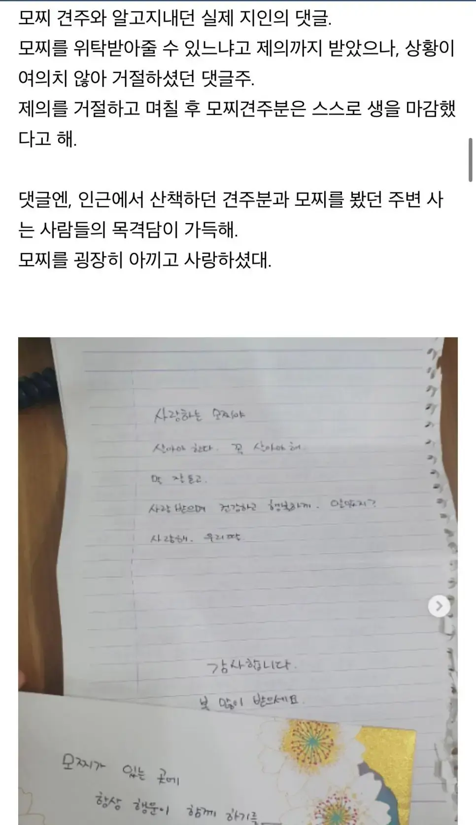 탄천 공영 주차장에 버려진 강아지 | mbong.kr 엠봉