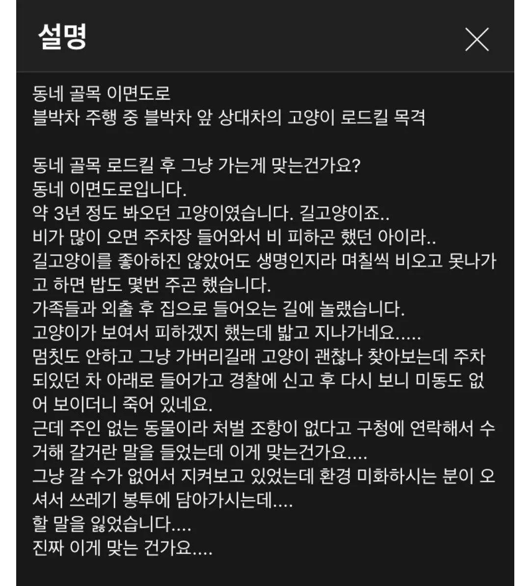 한문철 캣맘 레전드 등장 | mbong.kr 엠봉