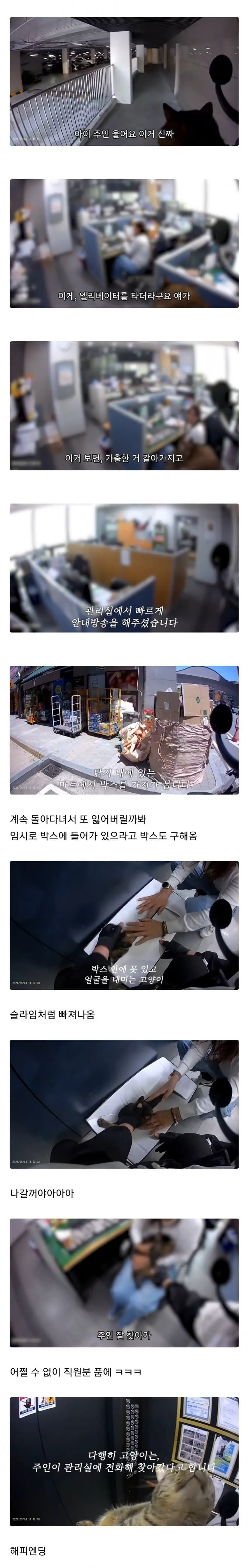가출한 고양이를 만난 배달기사의 행동.jpg | mbong.kr 엠봉