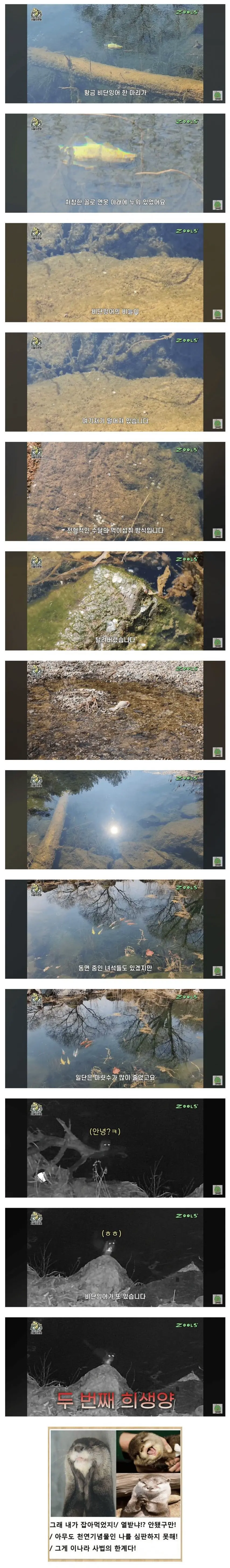 산속에 연못 만들어서 컨텐츠 진행하던 유튜버 | mbong.kr 엠봉
