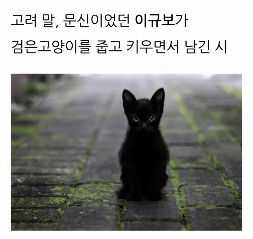 고려시대 문인의 고양이 평가.jpg | mbong.kr 엠봉