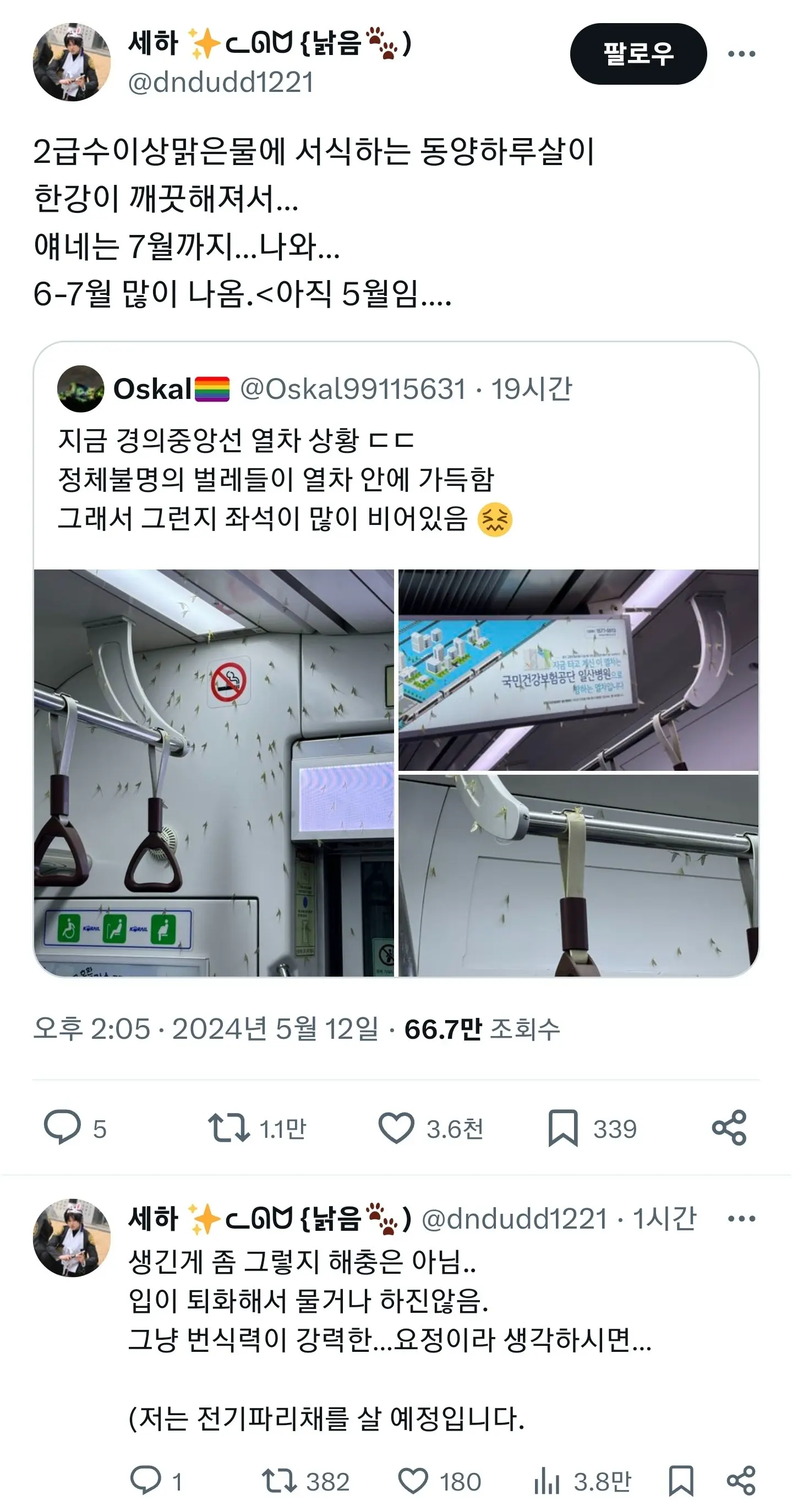 한강이 깨끗해져서 서울 지하철에 출몰 중인 벌레 | mbong.kr 엠봉