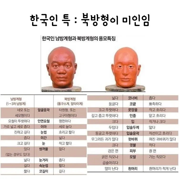 한국인 종특 모음.jpg | mbong.kr 엠봉