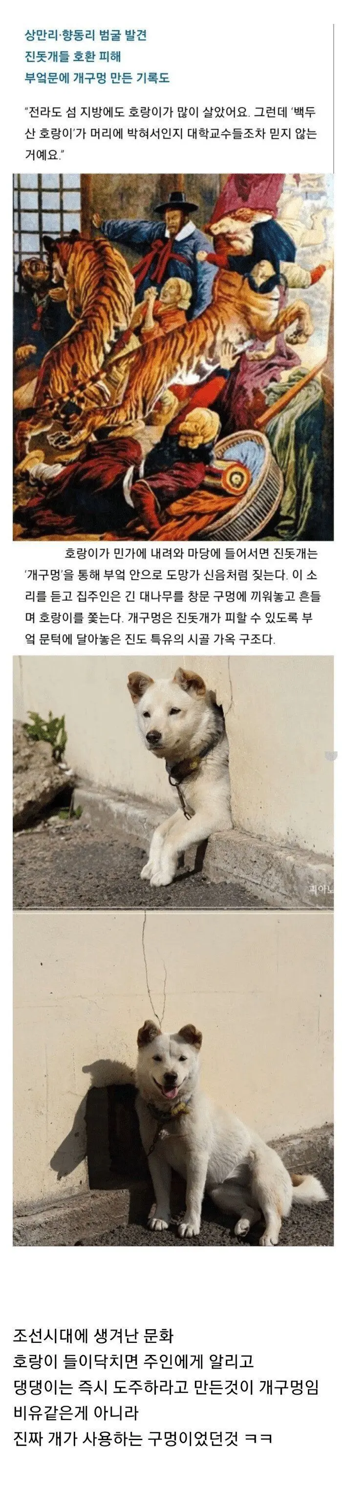 개구멍이 한국의 유서깊은 가옥구조인 이유.jpg | mbong.kr 엠봉