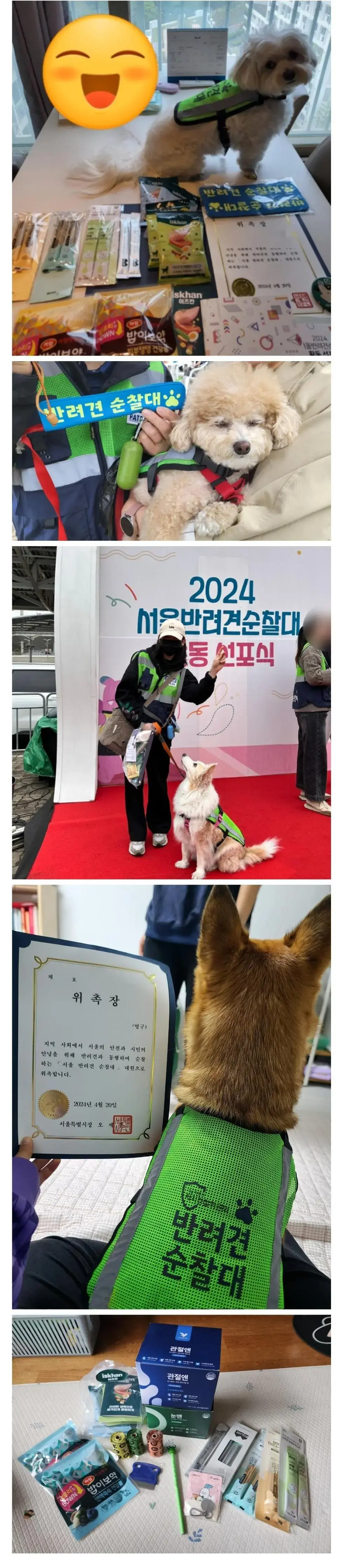 댕댕이들 공무원되서 신난 가족들.jpg | mbong.kr 엠봉