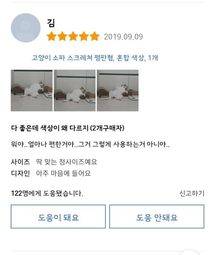 신뢰도 높은 고양이 스크래쳐 리뷰 | mbong.kr 엠봉