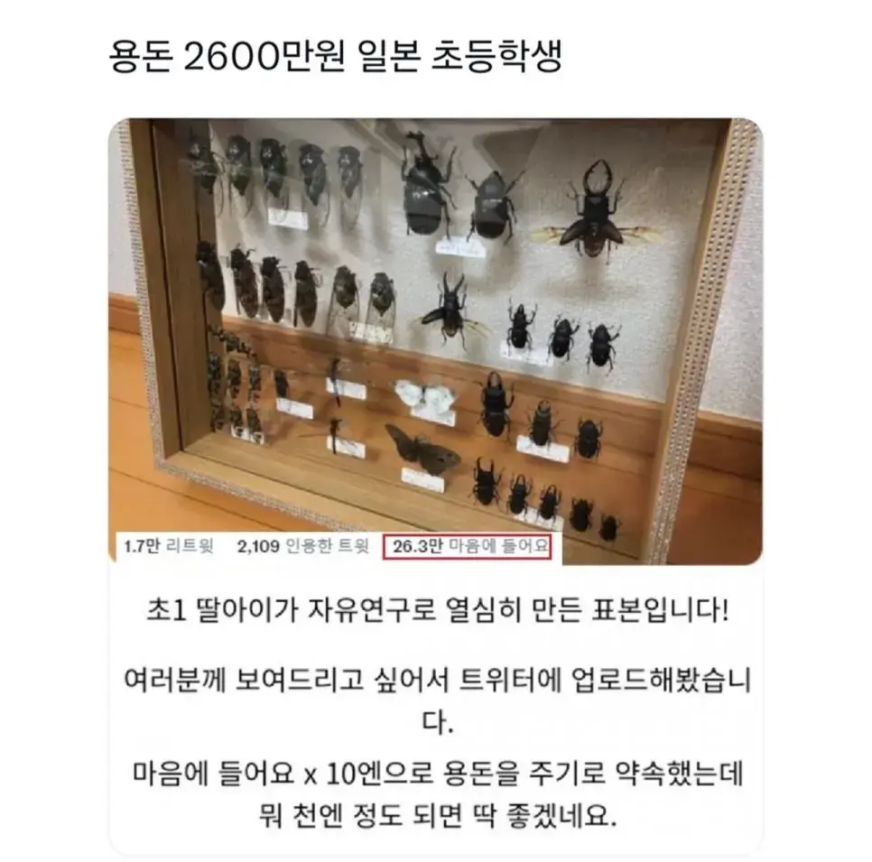 용돈 2,600만원 일본 초등학생 | mbong.kr 엠봉