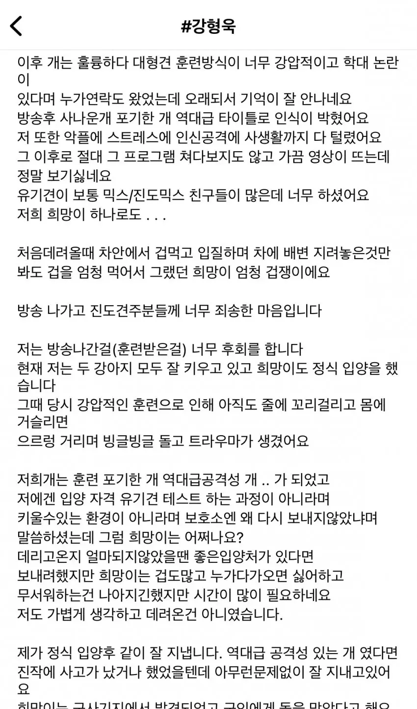 4년전 개훌륭에 출연한 진도믹스견 견주 | mbong.kr 엠봉