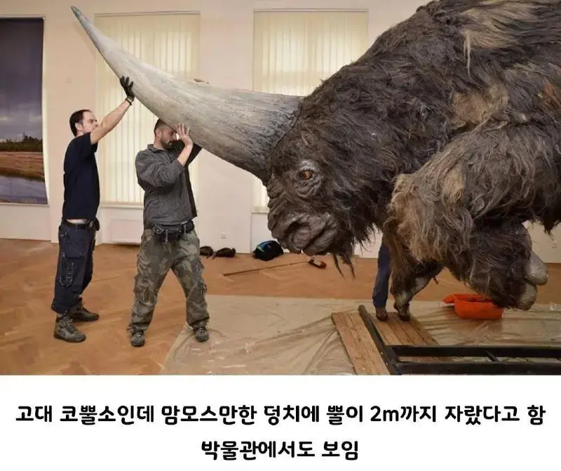 약 3만년 전까지 지구에 살았던 동물 | mbong.kr 엠봉