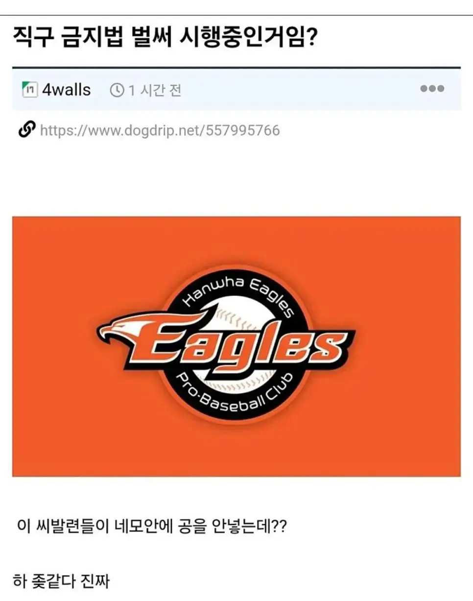 직구 금지 시행으로 난리난 야구판 | mbong.kr 엠봉