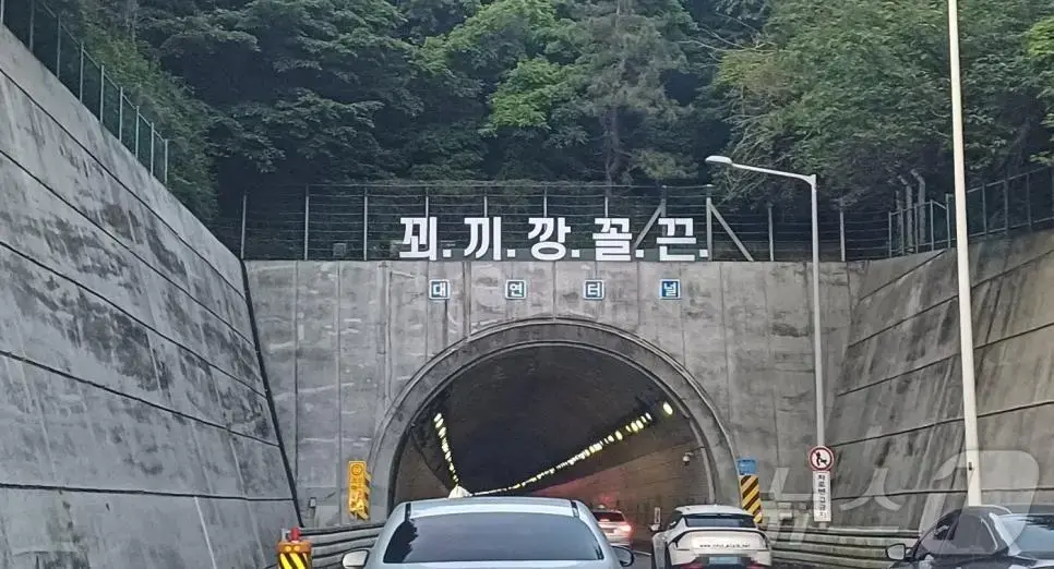 부산 대연 터널 입구 '꾀끼깡꼴끈' 괴문자 등장 | mbong.kr 엠봉