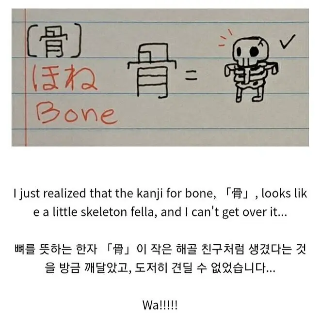 骨(뼈 골)이라는 한자를 보고 감탄한 외국인 | mbong.kr 엠봉