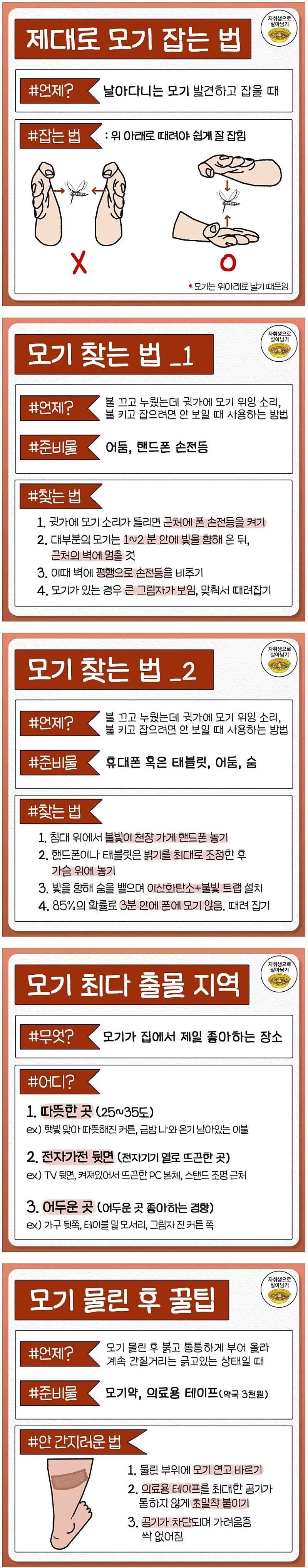 여름시즌 최대의 적인 모기 대처법 | mbong.kr 엠봉