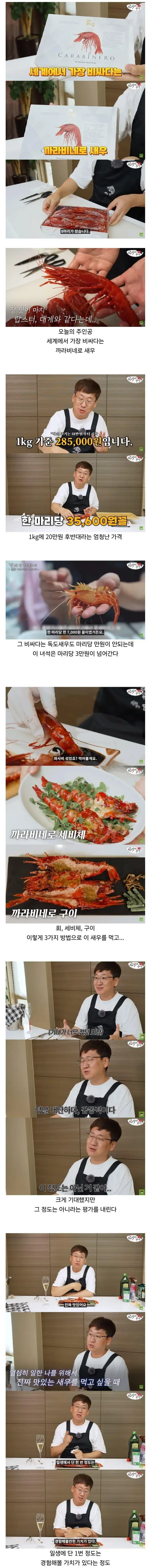 세계에서 제일 비싼 1kg당 28만원짜리 새우 먹방 | mbong.kr 엠봉
