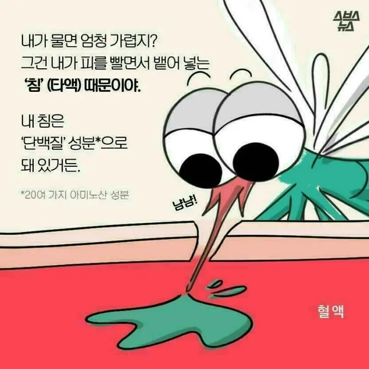 모기에 대한 오해. | mbong.kr 엠봉