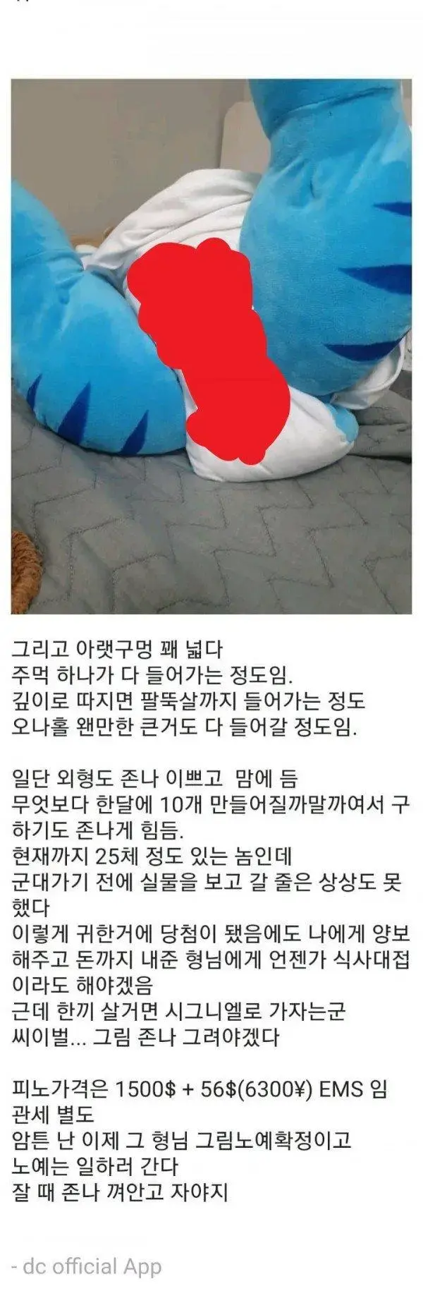 싱글벙글 가능한 크기의 리얼돌 사용 후기.dc | mbong.kr 엠봉