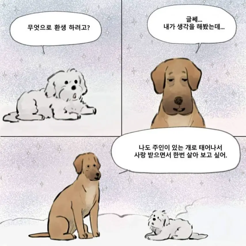 먼저간 개가 주인을 기다린다면 주인 없던 개는?.manhwa | mbong.kr 엠봉