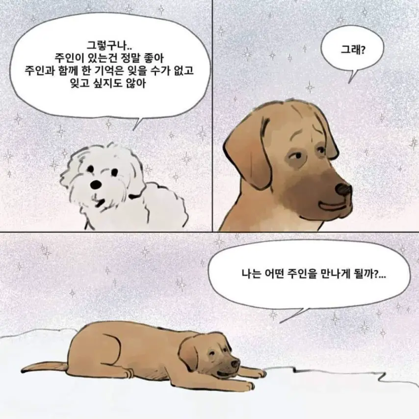 먼저간 개가 주인을 기다린다면 주인 없던 개는?.manhwa | mbong.kr 엠봉
