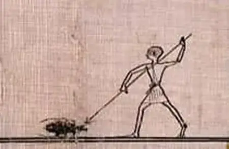 이집트 벽화에 기록된 바퀴벌레 | mbong.kr 엠봉