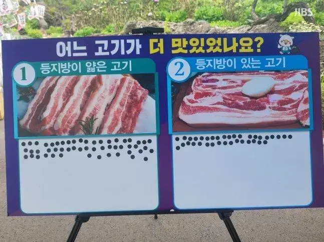 '우수성 검증 받겠다' 제주 돼지고기 '6시간 무제한 시식 평가회' | mbong.kr 엠봉