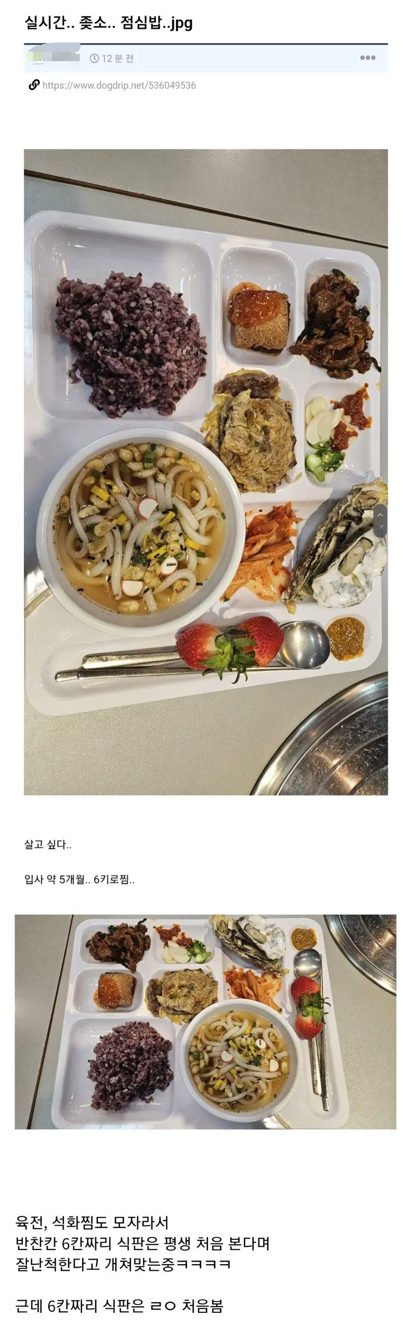 입사 5개월만에 6kg 쪘다는 ㅈㅅ기업 점심.jpg | mbong.kr 엠봉