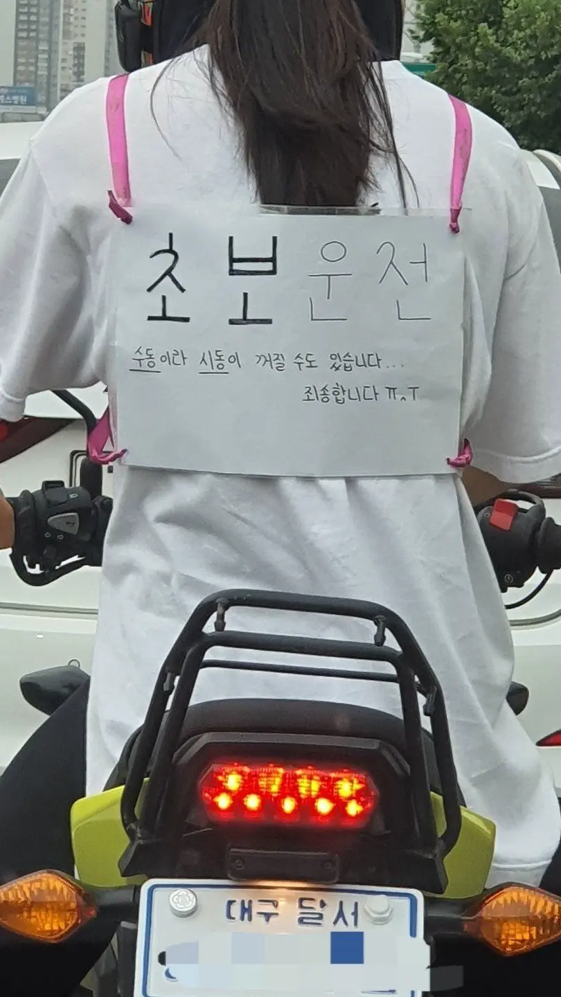 대구의 초보운전 누나 | mbong.kr 엠봉
