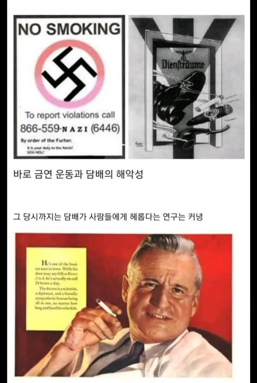 나치 시절 히틀러가 세계 최초로 연구했던 것 | mbong.kr 엠봉