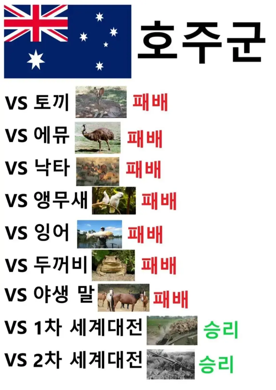 호주군의 전투력 | mbong.kr 엠봉