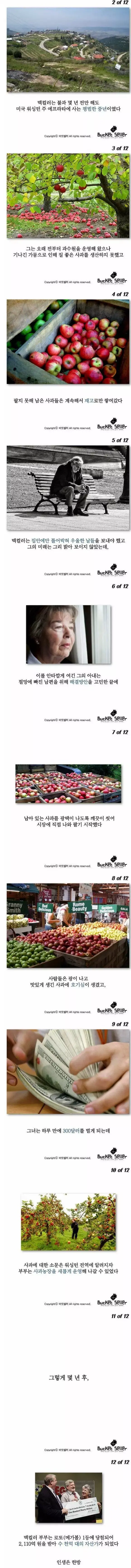 사과 과수원을 하다가 수 천억대의 자산가가 된 사연. | mbong.kr 엠봉