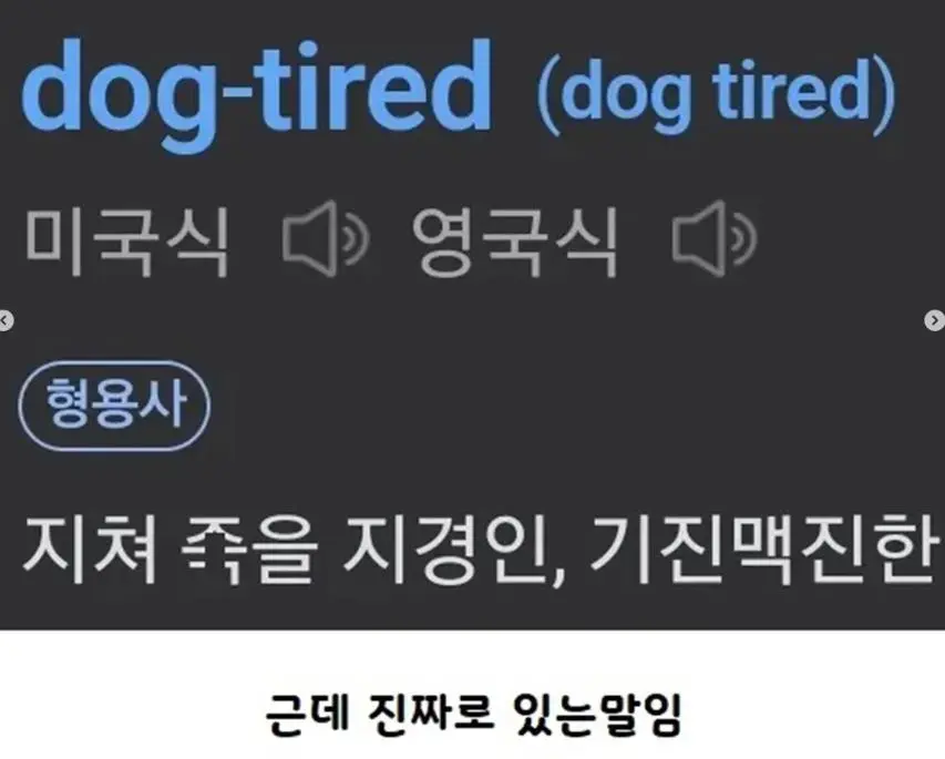 님들 '개피곤하다'가 영어로 뭔지 앎??.jpg | mbong.kr 엠봉