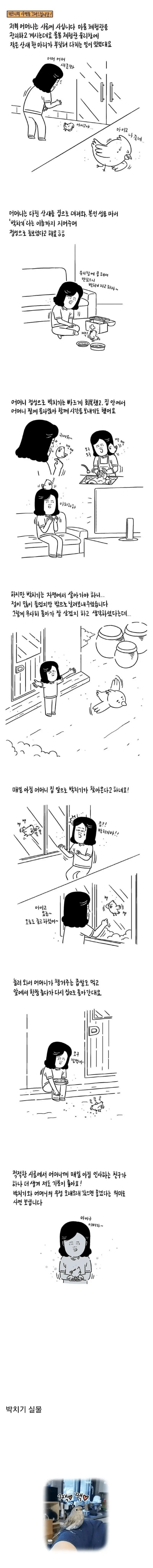 어머니 집에 찾아온 박치기.manhwa | mbong.kr 엠봉