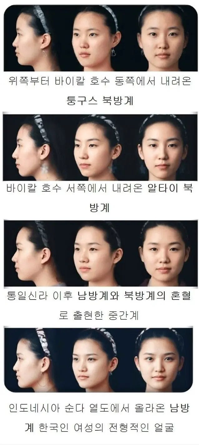 북방계 남방계 여성 얼굴. | mbong.kr 엠봉