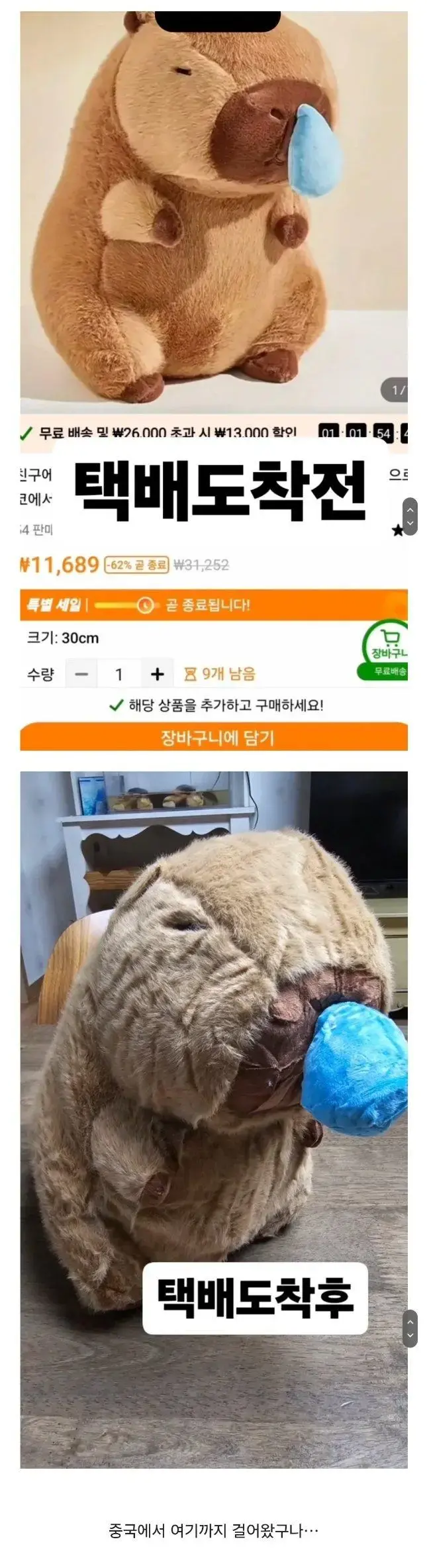 테무에서 구입한 인형 후기.jpg | mbong.kr 엠봉