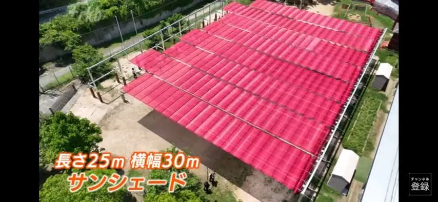 온난화로 밖에서 놀수없게되자 대형 차양막을 설치한 일본 유치원 | mbong.kr 엠봉
