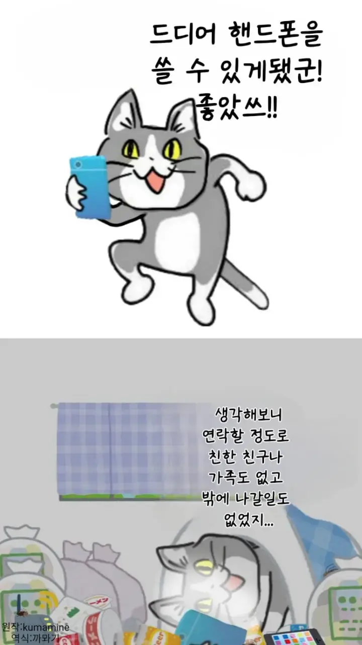 ㅈ소 고양이 좋아쓰!! 최신 모음.jpg | mbong.kr 엠봉