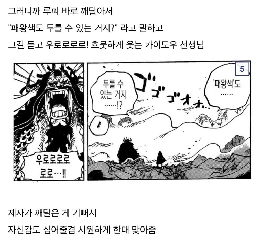 루피의 참스승이였던 용버지 카이도우 | mbong.kr 엠봉
