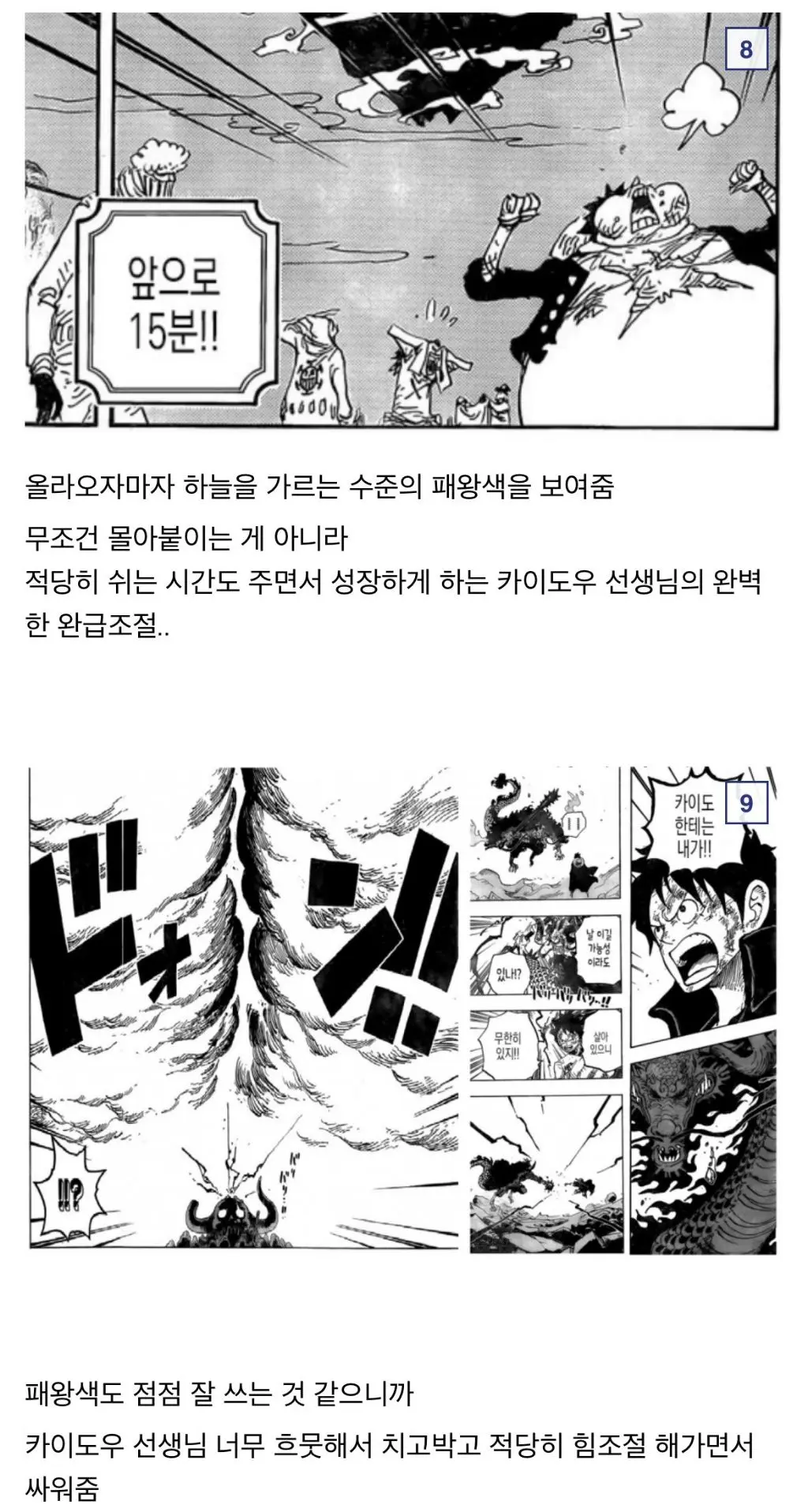 루피의 참스승이였던 용버지 카이도우 | mbong.kr 엠봉