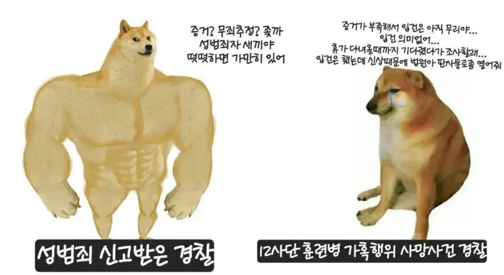 싱글벙글 시바견 동탄 vs 훈령병 | mbong.kr 엠봉