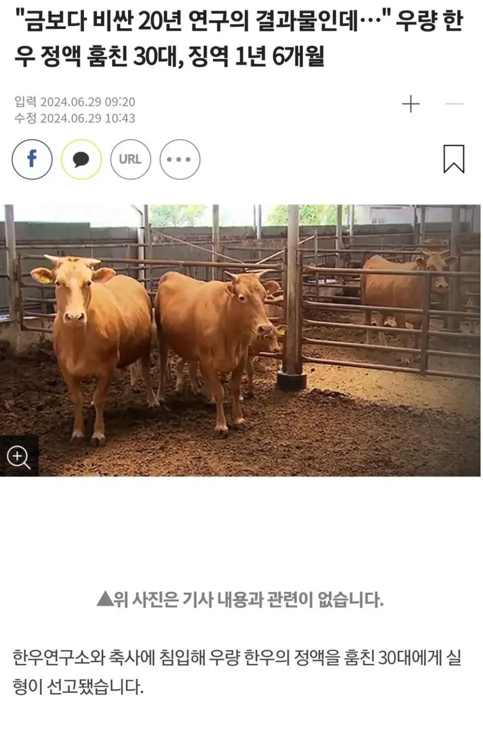 실화 : 체포된 30대 정액도둑 | mbong.kr 엠봉