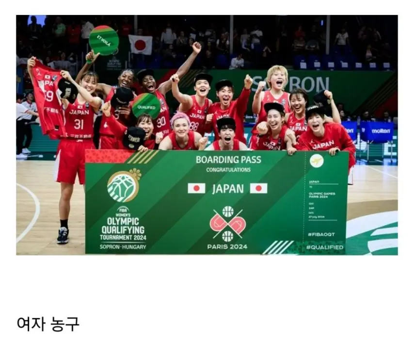 파리올림픽 일본 단체 구기종목 출전 현황 | mbong.kr 엠봉