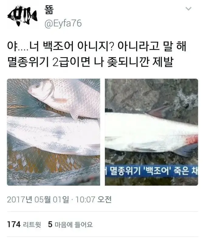 낚시꾼 우롱한 멸종위기종 | mbong.kr 엠봉