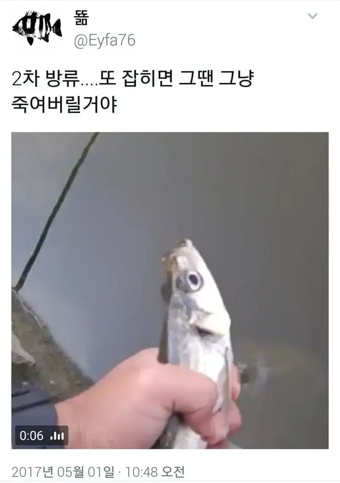 낚시꾼 우롱한 멸종위기종 | mbong.kr 엠봉